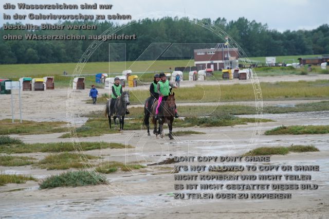 s_K3F04908.JPG